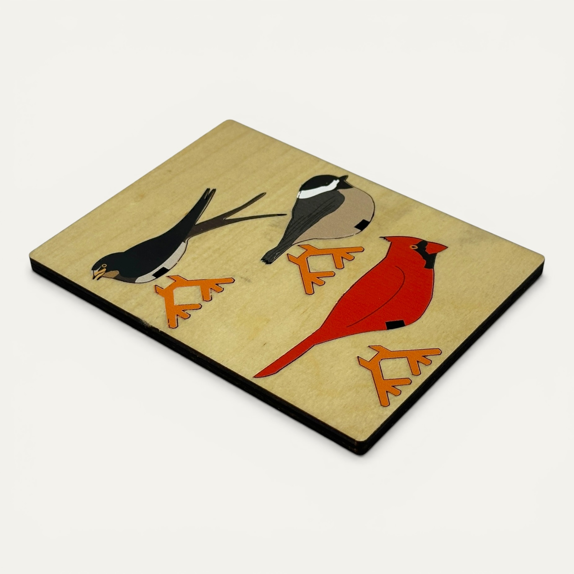 New England Perching Birds - Image 2