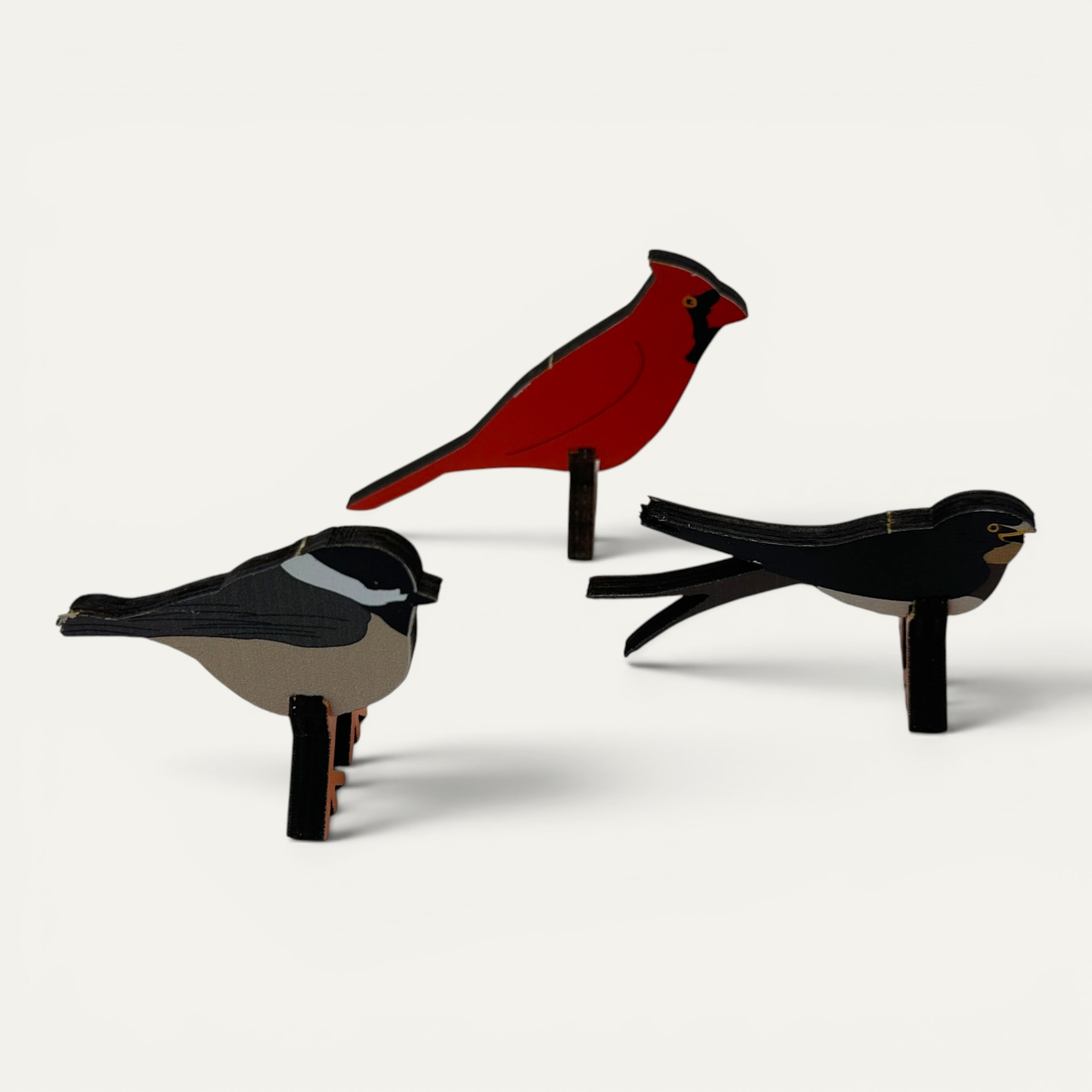 New England Perching Birds - Image 5