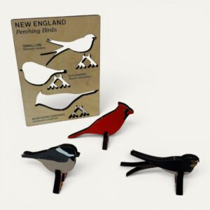 New England Perching Birds