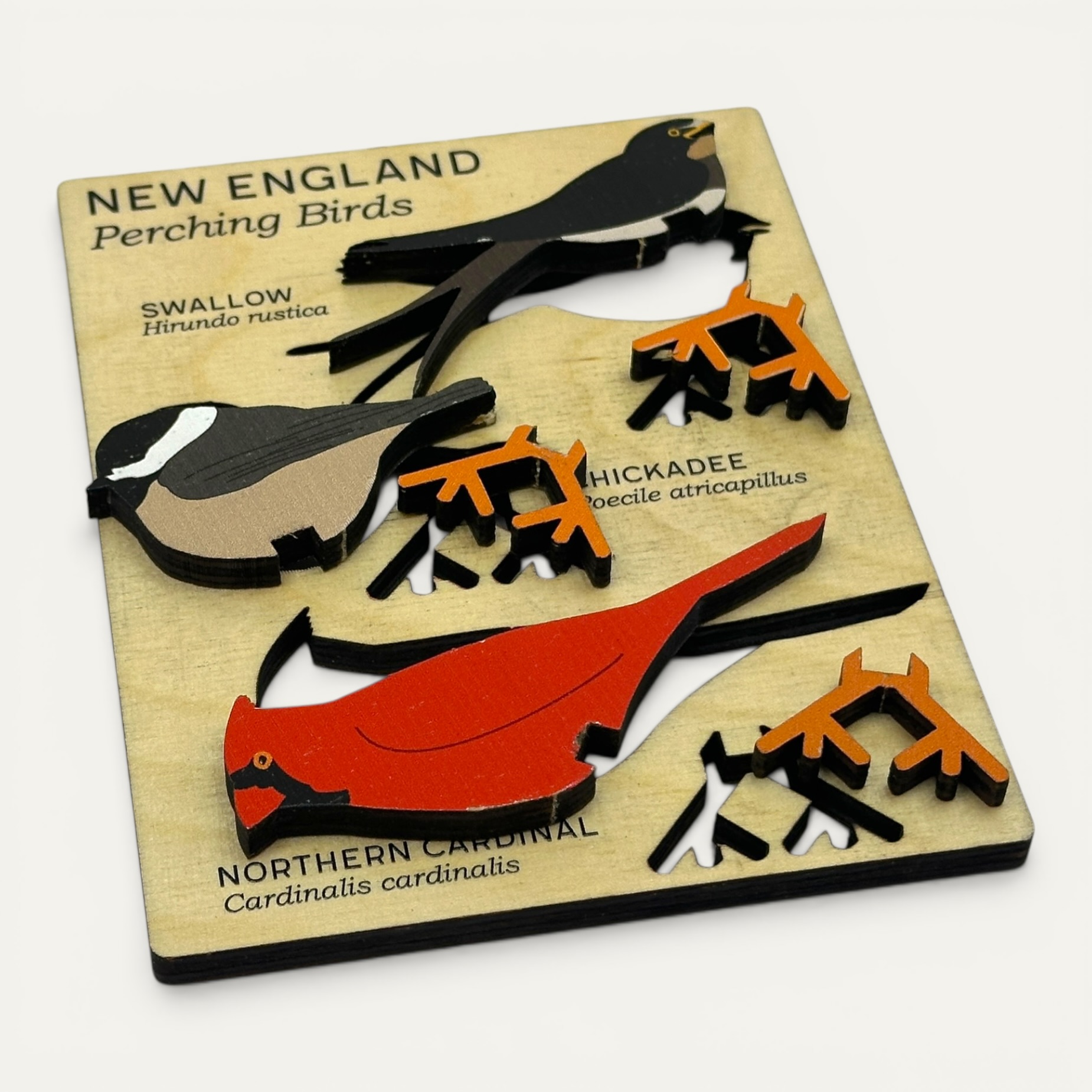 New England Perching Birds - Image 7