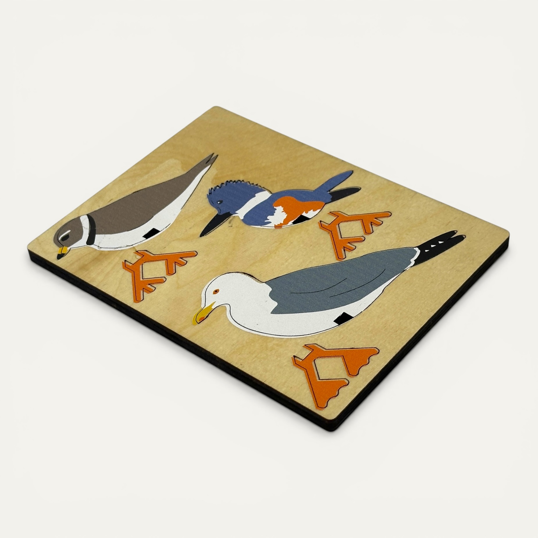 New England Shore Birds ING-BRDSHR -- three colorful wooden shore birds on white background