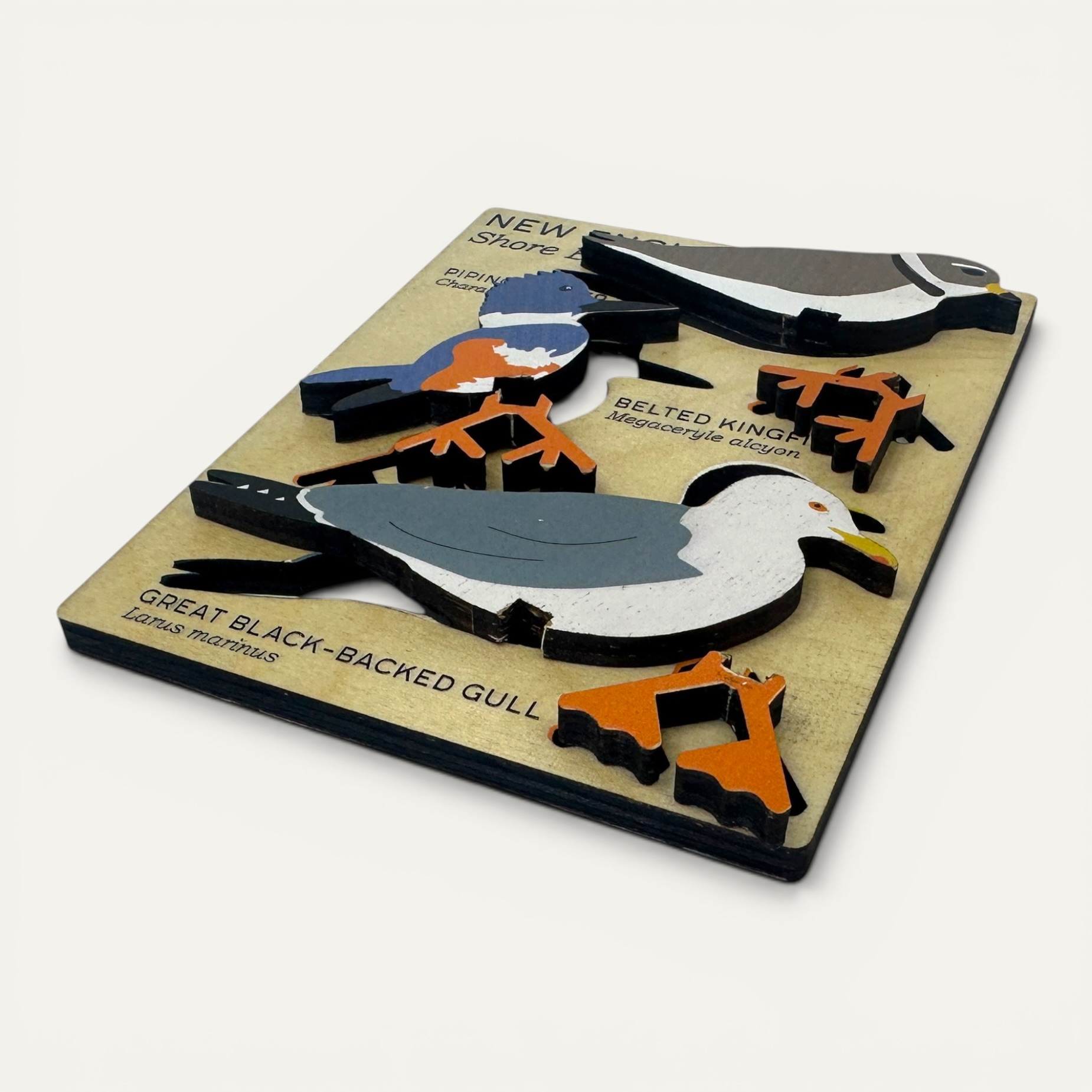 New England Shore Birds ING-BRDSHR wooden bird set from InGENEius, handmade in Bristol RI