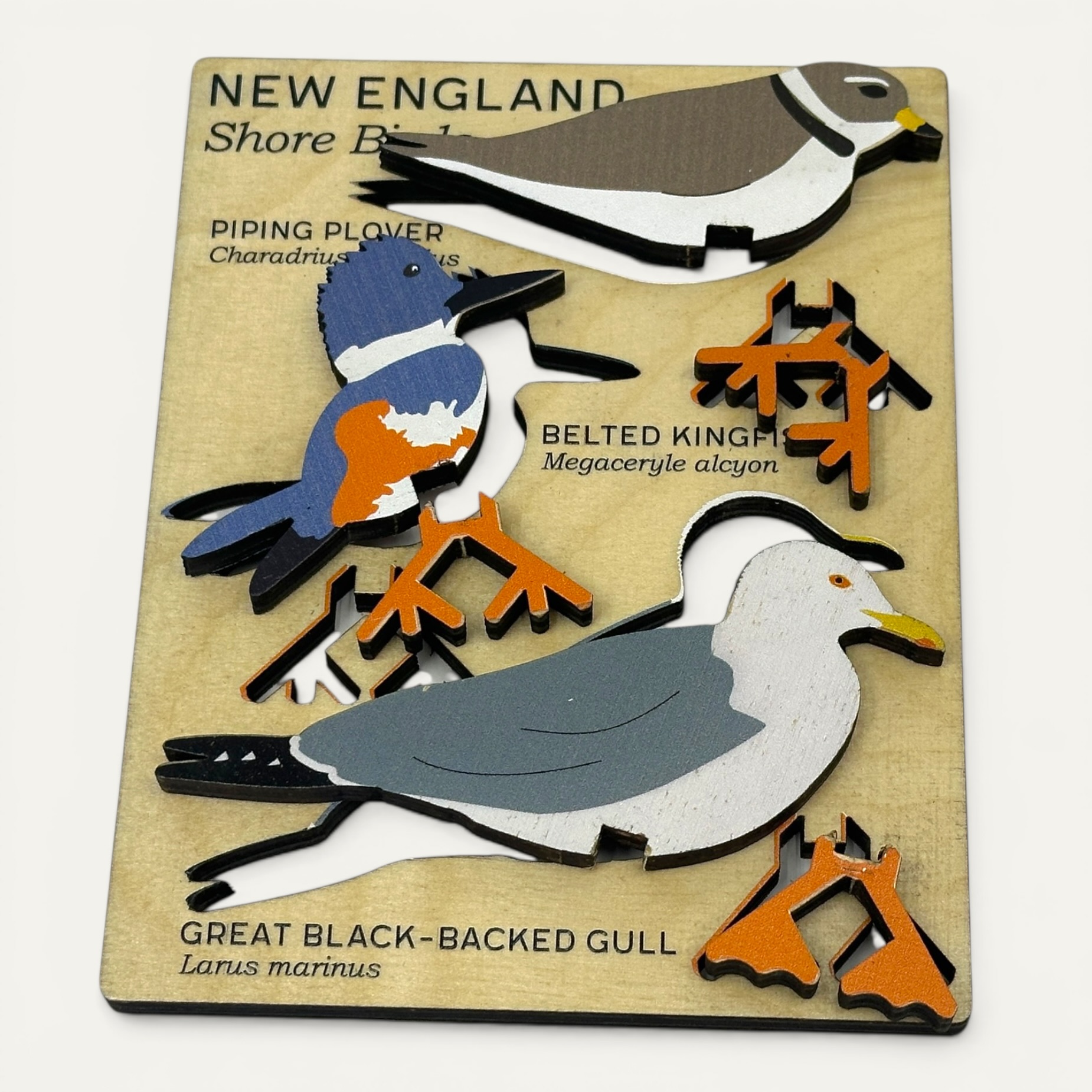 New England Shore Birds -- laser-cut Baltic Birch wooden shore birds assembled with legs