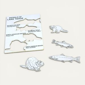 Pop Out Postcard - Tahoe Wildlife | Stream Side