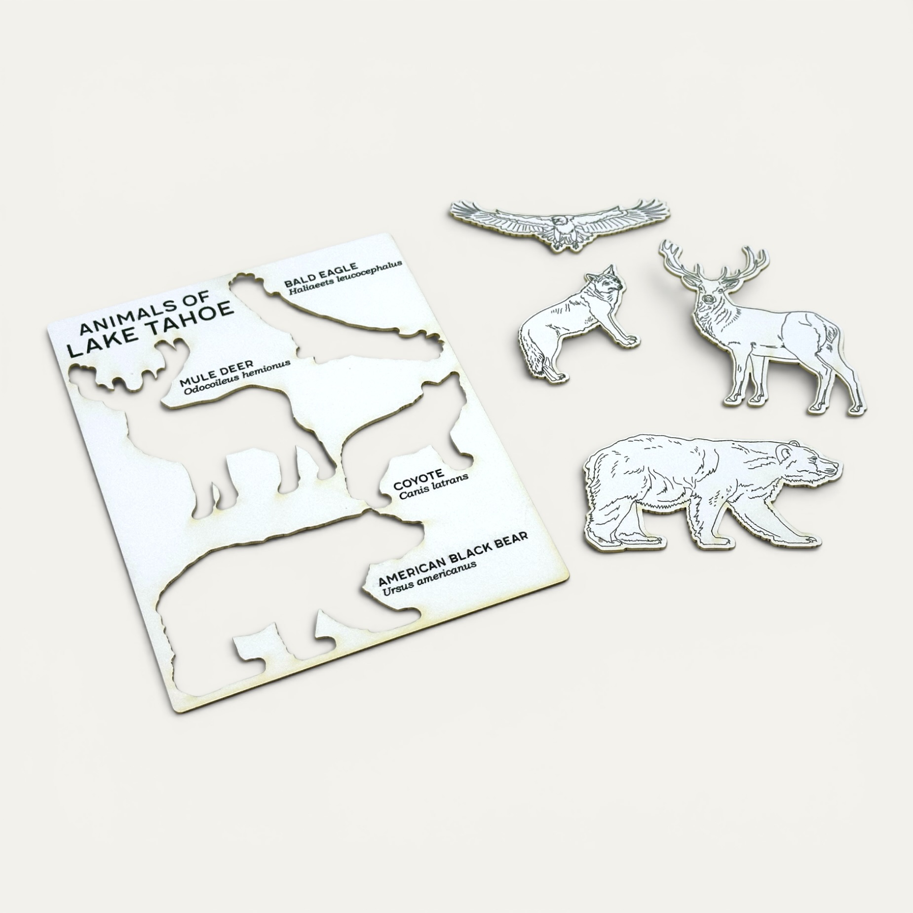 Pop Out Postcard - Tahoe Wildlife | Mountain Wildlife - Image 3