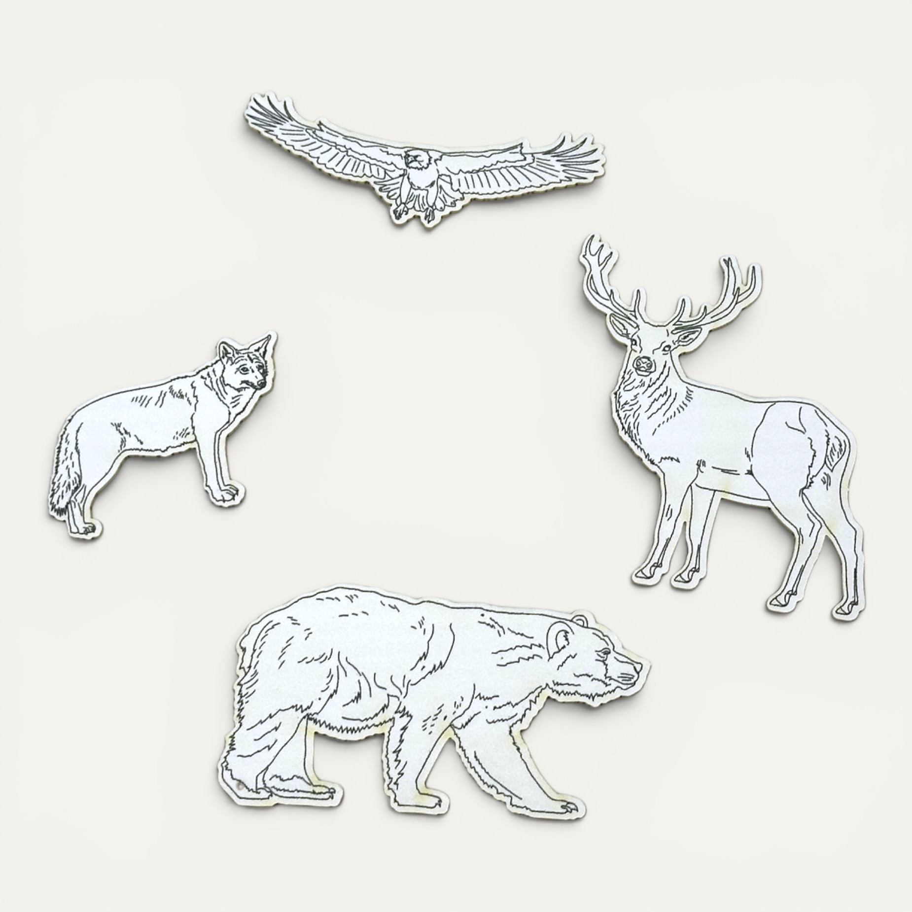Pop Out Postcard - Tahoe Wildlife | Mountain Wildlife - Image 2